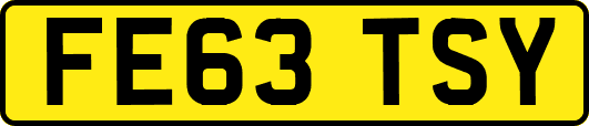 FE63TSY