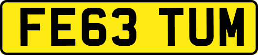 FE63TUM