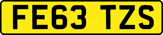 FE63TZS
