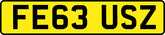 FE63USZ