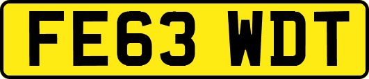 FE63WDT