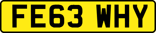 FE63WHY