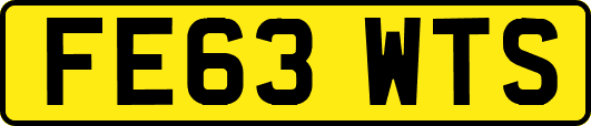 FE63WTS