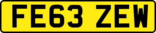 FE63ZEW