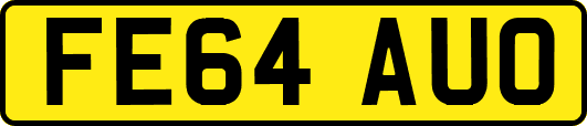 FE64AUO