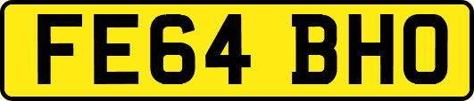 FE64BHO