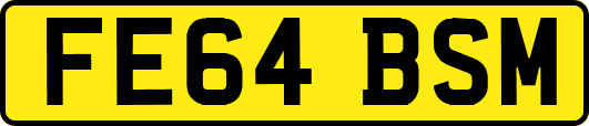 FE64BSM