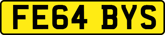 FE64BYS