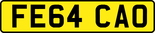 FE64CAO