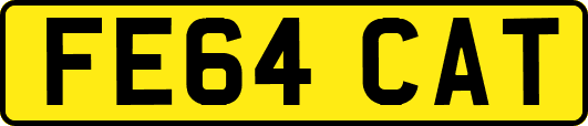 FE64CAT