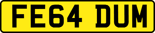 FE64DUM