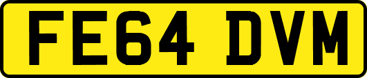 FE64DVM