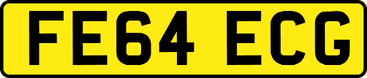 FE64ECG
