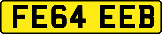 FE64EEB