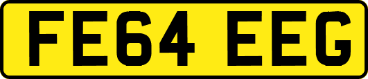 FE64EEG