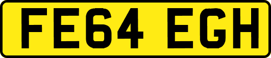 FE64EGH