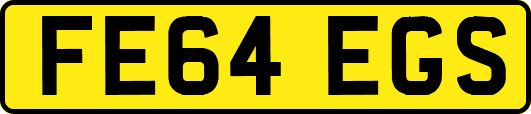 FE64EGS