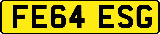 FE64ESG