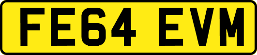 FE64EVM