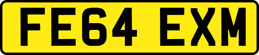 FE64EXM