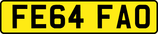 FE64FAO