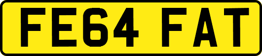 FE64FAT