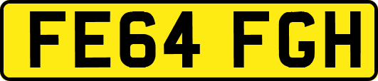 FE64FGH