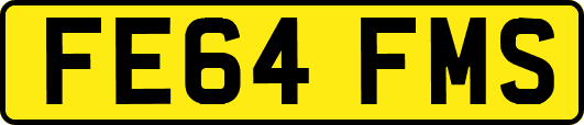 FE64FMS
