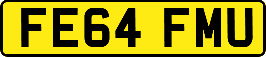 FE64FMU