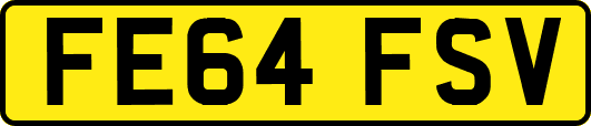 FE64FSV