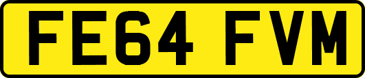 FE64FVM
