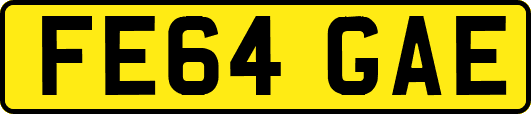 FE64GAE