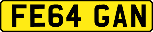 FE64GAN