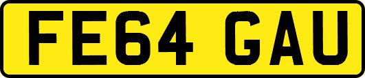 FE64GAU