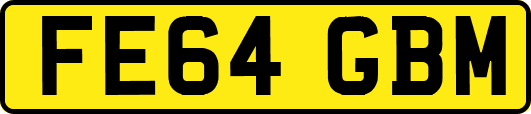 FE64GBM
