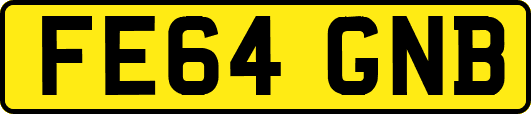FE64GNB