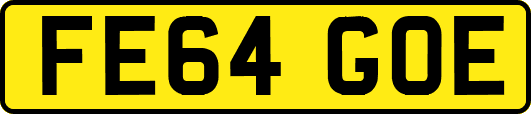 FE64GOE