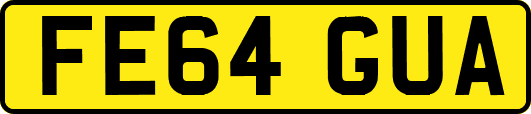 FE64GUA