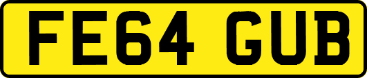 FE64GUB