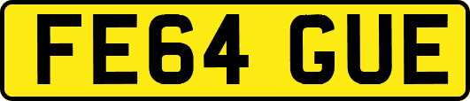 FE64GUE