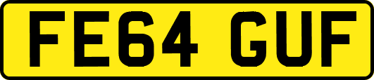 FE64GUF