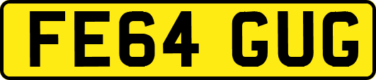 FE64GUG