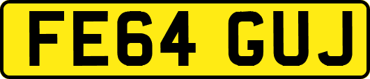 FE64GUJ