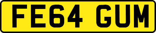 FE64GUM