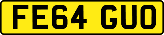 FE64GUO