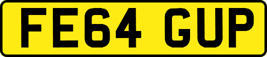 FE64GUP