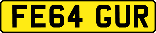 FE64GUR