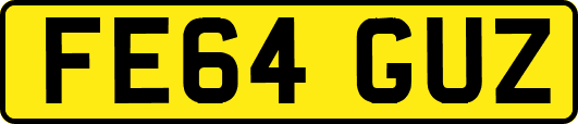 FE64GUZ