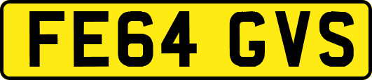 FE64GVS
