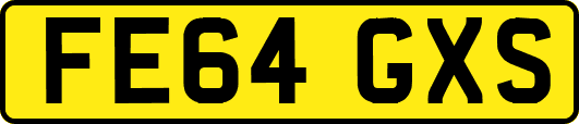 FE64GXS